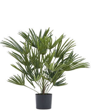 Artificial plant Baby Palm fan in pot 50 cm - Easyplants Artificial Plants & Flowers