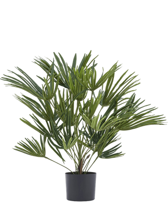 Artificial plant Baby Palm fan in pot 50 cm - Easyplants Artificial Plants & Flowers