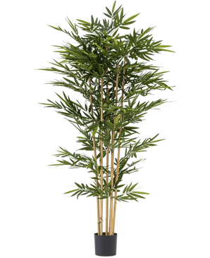Artificial plant bamboo 210 cm - Easyplants Artificial Plants & Flowers