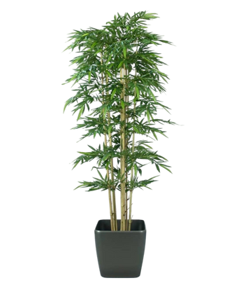 Artificial plant bamboo 300 cm fire retardant - Easyplants Artificial Plants & Flowers