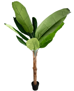 Artificial plant banana tree 180 cm
