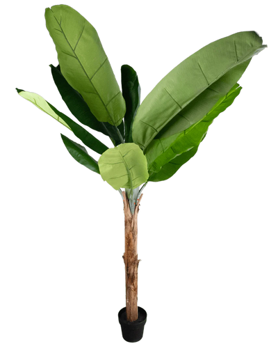 De Kunstplant Bananenboom 180 cm is een hoge kunstbananenplant met grote groene bladeren en een bruine stam in een kleine zwarte pot, afgebeeld tegen een effen witte achtergrond.