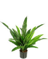 Artificial plant Bird's Deluxe 60 cm - Easyplants Artificial Plants & Flowers
