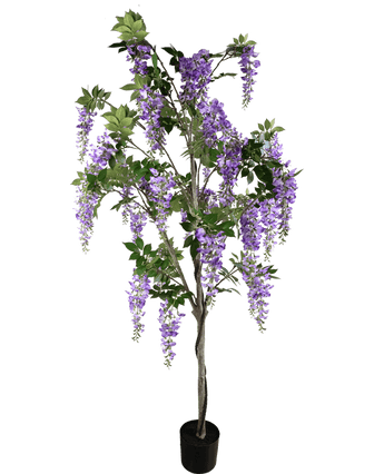 Artificial plant bluishegen 210 cm - Easyplants Artificial Plants & Flowers