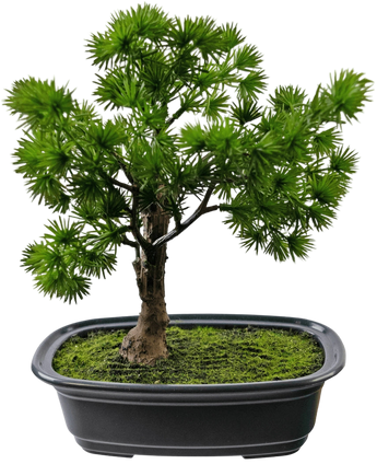 Artificial Plant Bonsai Juniper 20 cm - Easyplants Artificial Plants & Flowers