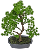 Artificial Plant Bonsai Juniper 30 cm - Easyplants Artificial Plants & Flowers