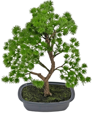 Artificial Plant Bonsai Juniper 30 cm - Easyplants Artificial Plants & Flowers