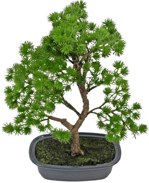 Kunstplant Bonsai Juniper 30 cm