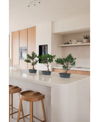 Kunstplant Bonsai Juniper 40 cm