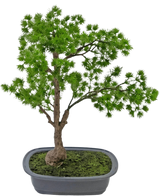 Artificial Plant Bonsai Juniper 40 cm - Easyplants Artificial Plants & Flowers