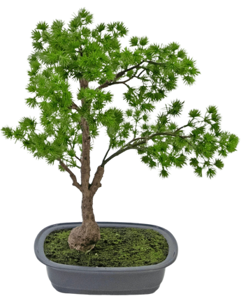 Artificial Plant Bonsai Juniper 40 cm - Easyplants Artificial Plants & Flowers