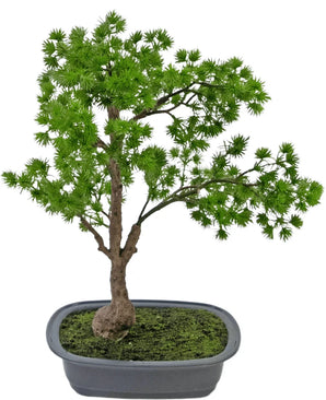 Kunstplant Bonsai Juniper 40 cm