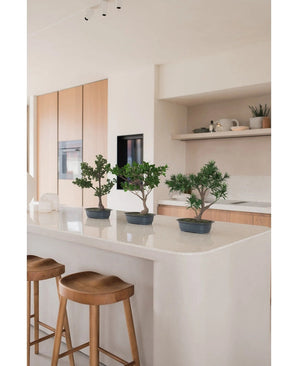 Drie Kunstplant Bonsai Podocarpus 40 cm in potten staan op een wit keukeneiland met twee houten krukjes eronder. De moderne keuken heeft lichthouten kasten en open planken met planten en decor.