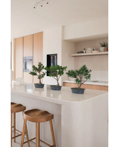 Drie Kunstplant Bonsai Podocarpus 40 cm in potten staan op een wit keukeneiland met twee houten krukjes eronder. De moderne keuken heeft lichthouten kasten en open planken met planten en decor.