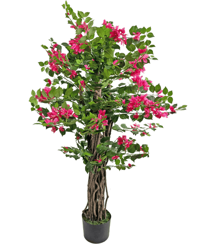De Kunstplant Bougainvillea 120 cm heeft gedraaide bruine stelen, weelderige groene bladeren en levendige roze bloemen, perfect om kleur toe te voegen aan elke ruimte.