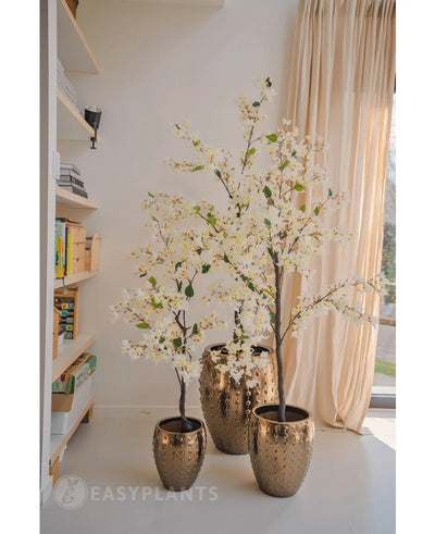 An Artificial Bougainvillea plant 120 cm tall with white blossoms in a textured gold pot stands near a window with sheer curtains, next to shelves full of books and decor in a bright, modern room.