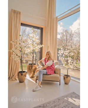 Een glimlachende vrouw zit in een beige fauteuil bij grote ramen met transparante gordijnen, omringd door Kunstplant Bougainvillea 120 cm wit in gouden plantenbakken. Het zonlicht valt naar binnen en verlicht de moderne, gezellige kamer.