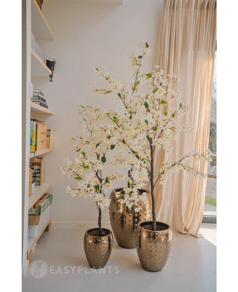 Een Kunstplant Bougainvillea van 150 cm groot staat in een decoratieve gouden pot bij een zonovergoten raam met beige gordijnen en voegt elegantie toe aan de gezellige ruimte. Nabijgelegen boekenplanken versterken de uitnodigende interieursfeer.