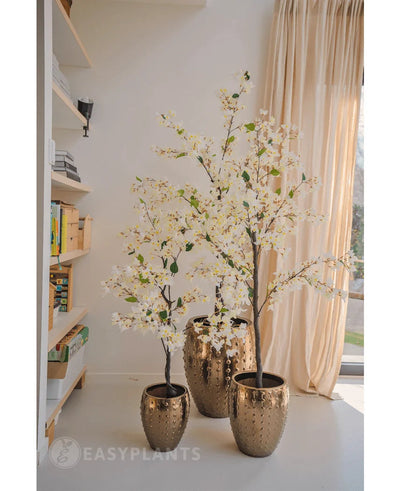Een Kunstplant Bougainvillea van 150 cm groot staat in een decoratieve gouden pot bij een zonovergoten raam met beige gordijnen en voegt elegantie toe aan de gezellige ruimte. Nabijgelegen boekenplanken versterken de uitnodigende interieursfeer.