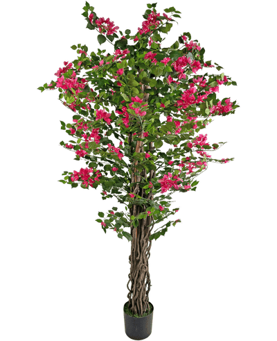 De Kunstplant Bougainvillea 180 cm is een hoge kunstplant met gedraaide bruine stengels, levendige groene bladeren en trossen felroze bloemen in pot.