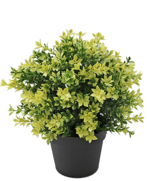 Artificial Plant Boxwood Yellow 22 cm UV - Easyplants Artificial Plants & Flowers