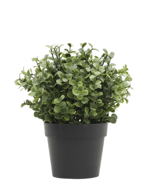 Artificial plant boxwood green in pot 19 cm UV - Easyplants Artificial Plants & Flowers