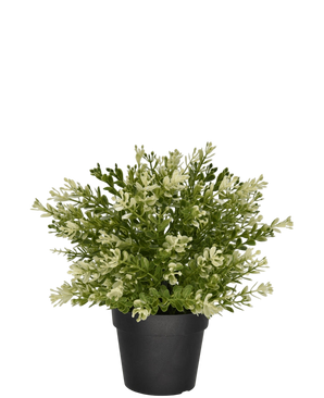 Artificial plant boxwood in pot 23 cm UV - Easyplants Artificial Plants & Flowers