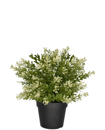 Artificial plant boxwood in pot 23 cm UV - Easyplants Artificial Plants & Flowers