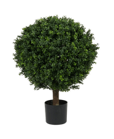 Artificial Plant Boxwood on Stam Roman Style 85cm - Easyplants Artificial Plants & Flowers