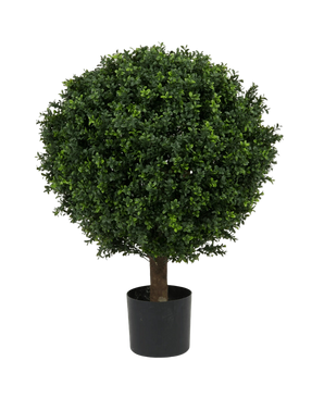 Artificial Plant Boxwood on Stam Roman Style 85cm - Easyplants Artificial Plants & Flowers