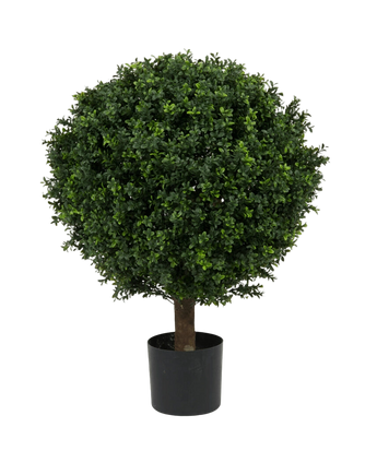 Artificial Plant Boxwood on Stam Roman Style 85cm - Easyplants Artificial Plants & Flowers