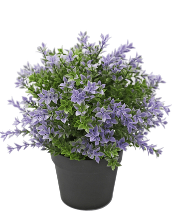 Artificial plant boxwood purple 22 cm UV - Easyplants Artificial Plants & Flowers