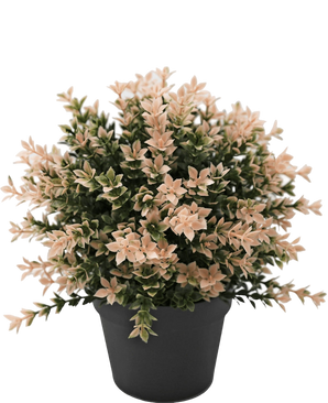 Artificial Plant Buxus Pink 22 cm UV - Easyplants Artificial Plants & Flowers