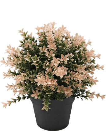 Artificial Plant Buxus Pink 22 cm UV - Easyplants Artificial Plants & Flowers