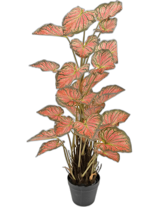 Kunstplant Caladium 90 cm roze