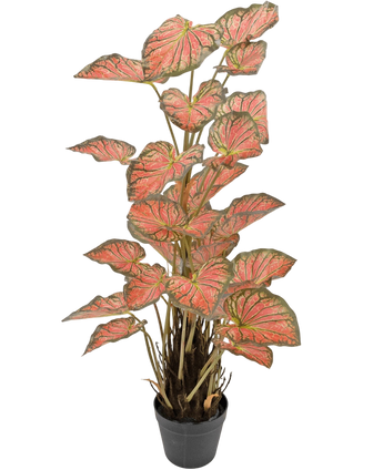 Artificial Plant Caladium 90 cm Pink - Easyplants Artificial Plants & Flowers