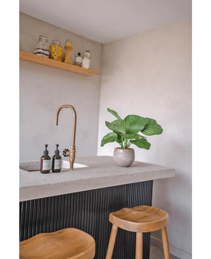 A modern kitchen with a concrete countertop, gold tap, Artificial Calathea plant 46 cm, soap dispensers, two wooden stools and a shelf with jars of food and ingredients against a light-colored wall.