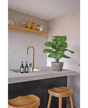 A modern kitchen corner with a concrete countertop, gold tap, Artificial Calathea UV 72 cm plant, two wooden stools, soap dispensers and a wooden shelf with pots and containers against a light-colored wall.