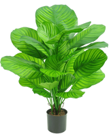 Artificial plant calathea 72 cm - Easyplants Artificial Plants & Flowers