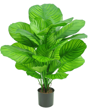 Artificial plant calathea 72 cm - Easyplants Artificial Plants & Flowers