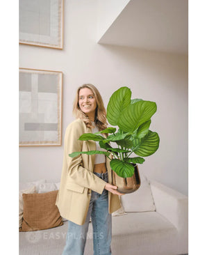 Een glimlachende vrouw in een beige blazer en spijkerbroek staat in een lichte, moderne woonkamer met de Kunstplant Calathea Fasciata 53 cm in pot. Abstracte kunst hangt boven een crèmekleurige bank aan de muur achter haar.