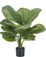 Artificial plant calathea fasciata 53 cm in pot - Easyplants Artificial Plants & Flowers