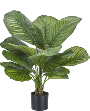 Artificial plant calathea fasciata 53 cm in pot - Easyplants Artificial Plants & Flowers