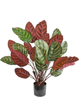 Artificial Plant Calathea Makoyana 60 cm Red - Easyplants Artificial Plants & Flowers