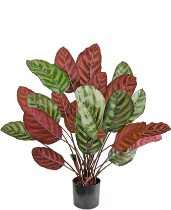 Artificial Plant Calathea Makoyana 60 cm Red - Easyplants Artificial Plants & Flowers