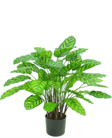 Artificial plant Calathea Makoyana 75 cm Red - Easyplants Artificial Plants & Flowers