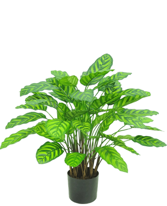 Artificial plant Calathea Makoyana 75 cm Red - Easyplants Artificial Plants & Flowers