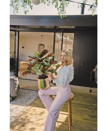 A blonde woman in a white blouse and light purple pants sits outside on a stool with the Artificial Calathea Makoyana UV 75 cm red potted plant, on a wooden deck in front of a modern house with glass doors.