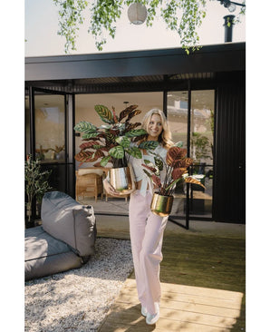 A woman stands on a wooden deck in front of a modern house, smiling and holding two Artificial Calathea Makoyana UV 75 cm red potted plants. She is wearing light pink pants and a white top. Outdoor seating and greenery in the background.