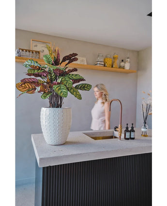 The Artificial Plant Calathea Makoyana UV 75 cm red, with vibrant green and purple leaves, stands on a modern kitchen island with a gold tap; a woman in a light dress is blurred in the background near a beige wall and decorative shelf.